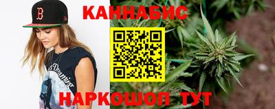 гидра Будённовск