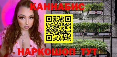 гидра Будённовск