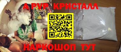 гидра Будённовск