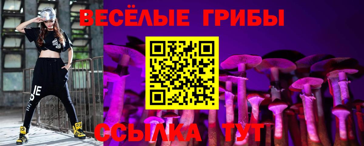 Галлюциногенные грибы Psilocybine cubensis  Вход с VPN  Жигулёвск 